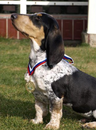 Jean Blue, MVP Nitra, 3/2015, VN1