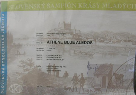 Athene Blue Aledos - dokončený šampión krásy mladých