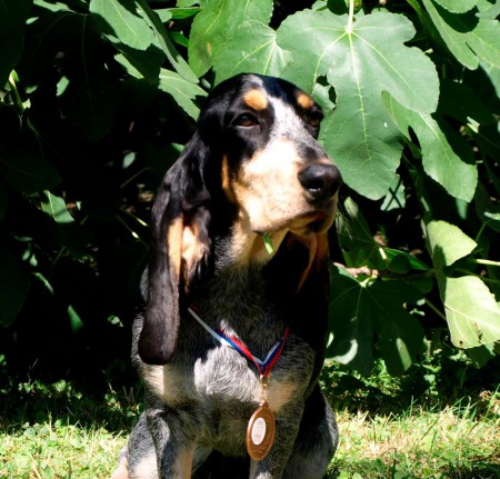 20.8.2016 Caliope, BA, CAJC, BOJ, BOB