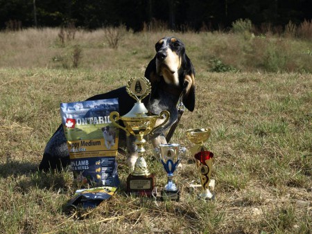 Caliope, Hálův Mlýn,ČR, V1, CAJC, BOJ, BOB, víťaz špeciálnej výstavy mladých (Special Show Junior Winner)